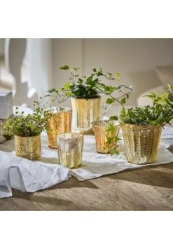 Schlussverkauf ⭐ LOBERON Windlicht 6er Set Nouvel Antikgold ✔️ -dekoartikel Verkaufsladen unnamed file 1129