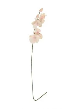 Brandneu 😀 LEONARDO Kunstblume Orchidee, 75 Cm Orange/ Grün ⌛