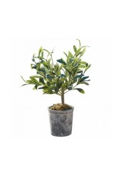 Top 10 ✨ LOBERON Deko-Topfpflanze Mariuccia Grün Grün ✨