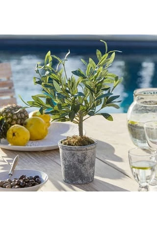 Top 10 ✨ LOBERON Deko-Topfpflanze Mariuccia Grün Grün ✨ 2 Top 10 ✨ LOBERON Deko-Topfpflanze Mariuccia Grün Grün ✨ – Bild 2