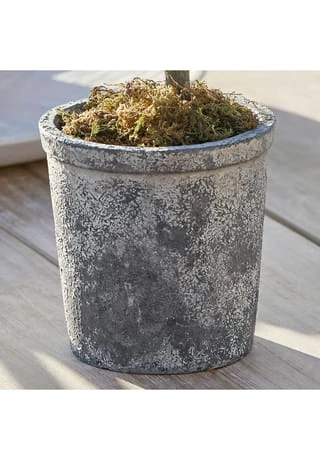 Top 10 ✨ LOBERON Deko-Topfpflanze Mariuccia Grün Grün ✨ 3 Top 10 ✨ LOBERON Deko-Topfpflanze Mariuccia Grün Grün ✨ – Bild 3