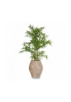 Großhandel 🥰 LOBERON Deko-Topfpflanze Ligron Grün Grün 🔥