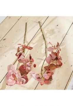 Am billigsten 🔔 LOBERON Deko-Zweig Pinon Rosa Rosa 😉 -dekoartikel Verkaufsladen unnamed file 388