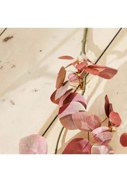 Am billigsten 🔔 LOBERON Deko-Zweig Pinon Rosa Rosa 😉 -dekoartikel Verkaufsladen unnamed file 389