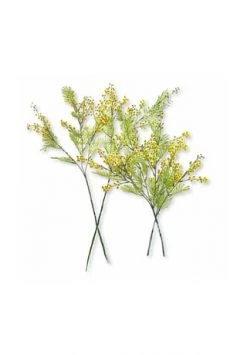 Auslauf 🎁 LOBERON Deko-Blume 4er Set Gillery Grün/gelb Grün/gelb ✔️