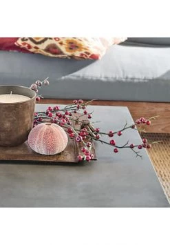 Angebote 🔥 LOBERON Deko-Zweig Dillon Braun/rot Braun/rot 🛒 -dekoartikel Verkaufsladen unnamed file 399