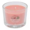 Besorgen 🔥 YANKEE CANDLE® Duftkerzen "Tropical Breeze", 3er-Pack APRICOT 😍