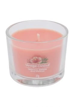 Besorgen 🔥 YANKEE CANDLE® Duftkerzen "Tropical Breeze", 3er-Pack APRICOT 😍