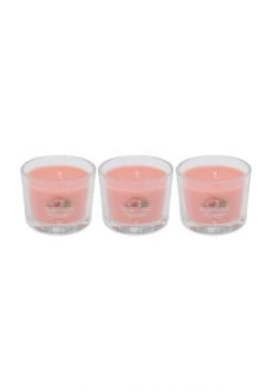 Besorgen 🔥 YANKEE CANDLE® Duftkerzen "Tropical Breeze", 3er-Pack APRICOT 😍 -dekoartikel Verkaufsladen unnamed file 646