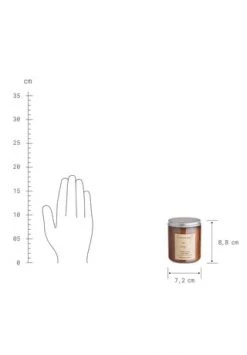 Auslauf 🔥 BUTLERS® PEACEFUL MIND Duftkerze Wild Veggie Mit Sojawachs Braun-Silber 😉 -dekoartikel Verkaufsladen unnamed file 705