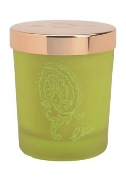 Schlussverkauf 🔥 ETRO Dafne HELLGRÜN 🎁