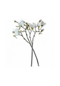 Am billigsten 👍 LOBERON Dekoblume 2er Set Mariella Creme Creme ✨