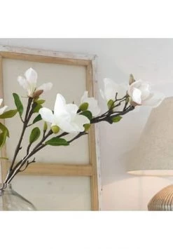 Am billigsten 👍 LOBERON Dekoblume 2er Set Mariella Creme Creme ✨ -dekoartikel Verkaufsladen unnamed file 81